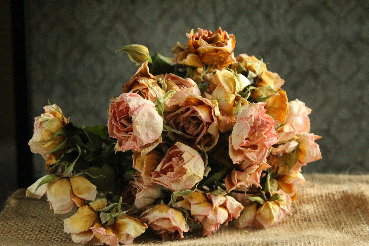 Kompozycje kwiatowe z suszonych kwiatów – kompozycje z suchych kwiatów. Kompozycje z suszu egzotycznego