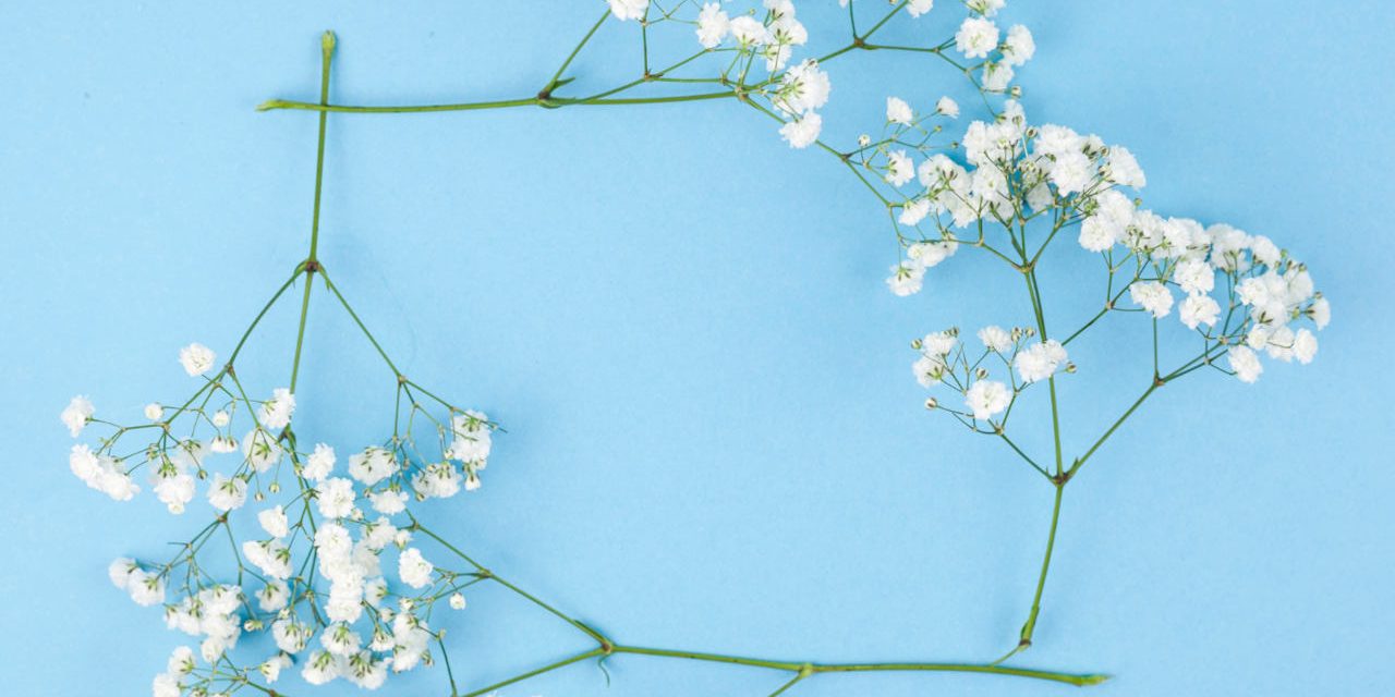 Jesienne dekoracje z gipsówki stabilizowanej – kreatywne pomysły na wyjątkowe aranżacje