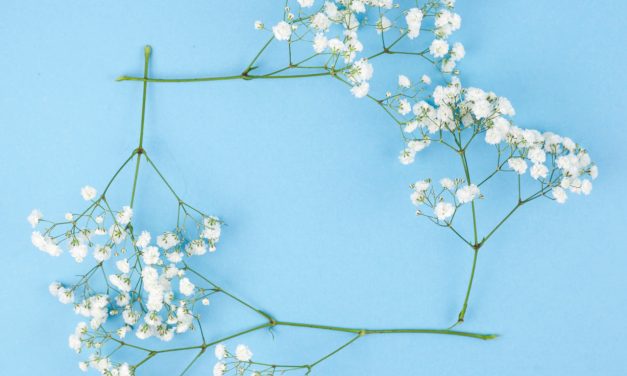 Jesienne dekoracje z gipsówki stabilizowanej – kreatywne pomysły na wyjątkowe aranżacje