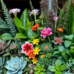 Jak łączyć rośliny w jednej ekspozycji, by uniknąć błędów i stworzyć harmonijną kompozycję